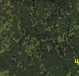 Камуфлированные
